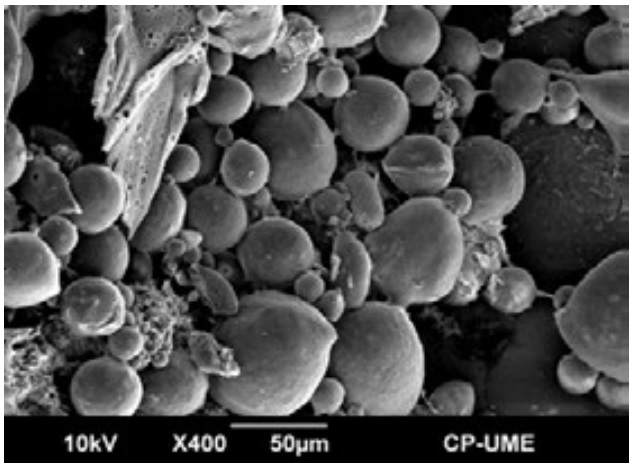 La microscopía electrónica de barrido en las ciencias agrícolas y pecuarias