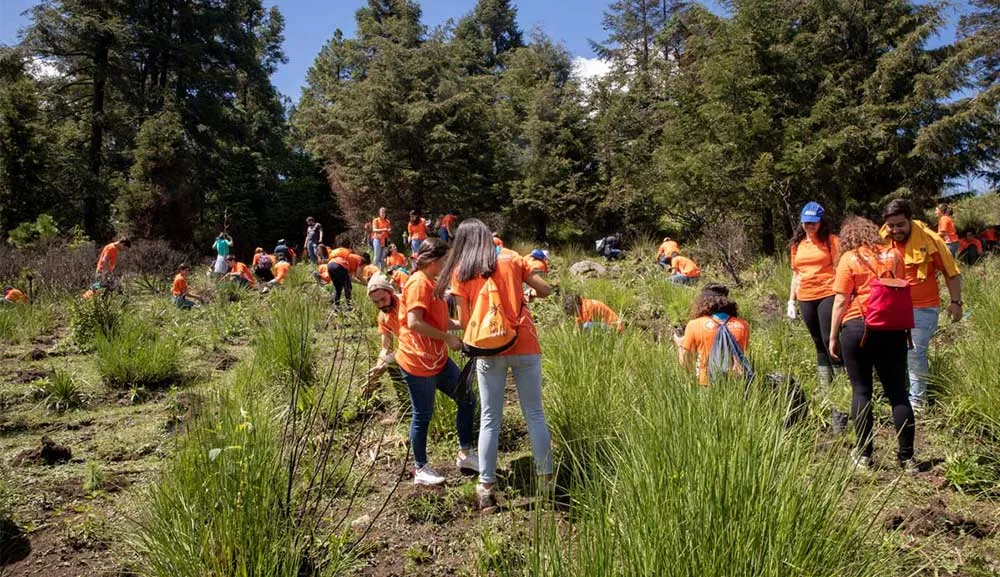 Cuidamos el medioambiente a través de la Reforestación ASUA 2019